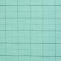 Preview: Baumwolle Tina Karo Muster Leinenoptik MInt von Swafing